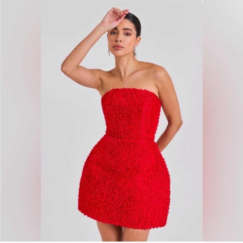 Nadine Merabi Maisy Tulip Minidress in Red